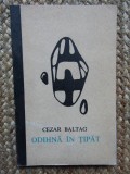 Cezar Baltag - Odihna in tipat