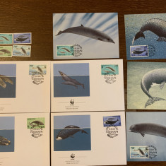 feroe - serie 4 timbre MNH, 4 FDC, 4 maxime, fauna wwf