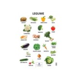 Plansa Legume
