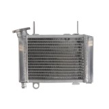 RADIATOR HONDA CBR 125 2012 2017