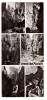 CHEILE BICAZULUI MOZAIC FORMAT LUNG 9X20CM RPR, Circulata, Fotografie