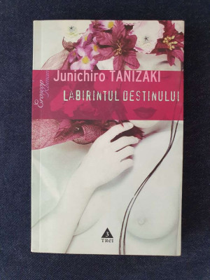 Labirintul destinului &amp;ndash; Jun&amp;#039;ichiro Tanizaki foto