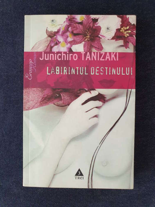 Labirintul destinului &ndash; Jun&#039;ichiro Tanizaki