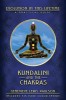 Kundalini and the Chakras: Evolution in This Lifetime: A Practical Guide