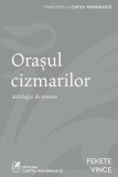 Orașul cizmarilor - Paperback brosat - Fekete Vince - Cartea Rom&acirc;nească | Art