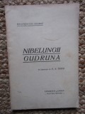 NIBELUNGII GUDRUNA in romaneste de V. A. Trifu (1926)