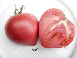 Tomate , rosii INIMA DE BOU - 10 seminte pentru semanat