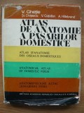GHETIE / CHITESCU / COTOFAN / HILLEBRAND - ATLAS DE ANATOMIE A PASARILOR DOMESTICE - 1976