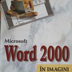 MICROSOFT WORD 1000 IN IMAGINI-HEIDI STEELE