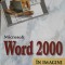 MICROSOFT WORD 1000 IN IMAGINI-HEIDI STEELE-248644