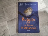 Bufnita care se temea de intuneric de Jill Tomlinson