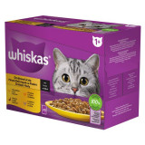 Whiskas Poultry selection &icirc;n jeleu 12 x 85 g