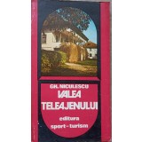VALEA TELEAJENULUI-GH. NICULESCU-225064