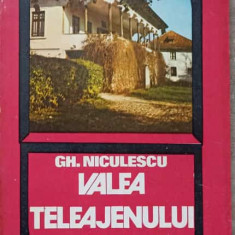 VALEA TELEAJENULUI-GH. NICULESCU