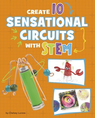 Create 10 Sensational Circuits with Stem foto