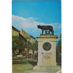 Cluj-Napoca. Statuia Lupoaica (Carte postala circulata)