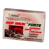 Imun Forte Supliment Alimentar Hofigal 20 Comprimate Imunitate