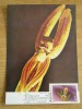 C12 - maxima Romania - tematica flora 3 - prima zi a emisiunii sau expozitii, Romania de la 1950