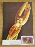 C12 - maxima Romania - tematica flora 3 - prima zi a emisiunii sau expozitii, Romania de la 1950