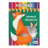 Colorez: Animale salbatice
