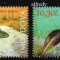 MOLDOVA 2023, Reptile si amfibieni serie neuzata, MNH