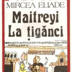 Mircea Eliade, Maitreyi, La tiganci