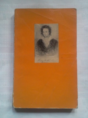 (C420) DAN GRIGORESCU - SHELLEY foto
