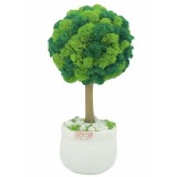 Aranjament floral tip Copacel Pomisor cu licheni naturali stabilizati si plante naturale criogenate si uscate, Eventissimi, Verde, 28 cm, vaza ceramic