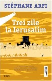 Trei zile la Ierusalim - Paperback brosat - St&eacute;phane Arfi - Trei