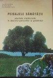 Peisajele sanatatii, plantele medicinale in decorul parcurilor si gradinilor
