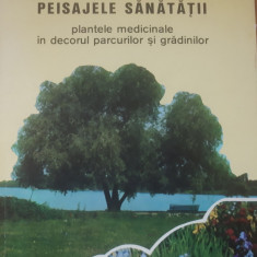 Peisajele sănătății, plantele medicinale în decorul parcurilor și grădinilor