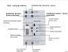 ATS comutator transfer automat manual 2P 63A monofazat fotovoltaice generatoare UPS