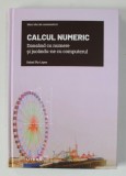 CALCUL NUMERIC , DANSAND CU NUMERE SI JUCANDU - NE CU COMPUTERUL de RAFAEL PLA - LOPEZ , 2022