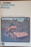 VITICOLTORA PRACTICA ( VITICULTURA PRACTICA) - I. COSMO - LIMBA ITALIANA