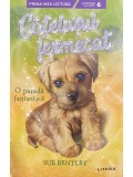 Sue Bentley - Catelusul fermecat (Editia: 2023)