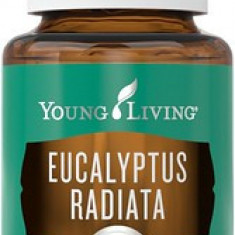 Ulei esential Eucalipt Radiata (Ulei esential Eucalyptus Radiata) 15 ML