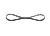 BOSCH 1 987 946 142 Elastic Curea transmisie cu caneluri