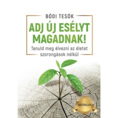 Adj &uacute;j es&eacute;lyt magadnak! - Tanuld meg &eacute;lvezni az &eacute;letet szorong&aacute;sok n&eacute;lk&uuml;l - B&oacute;di Bence