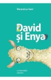 David si Enya - Veronica Iani