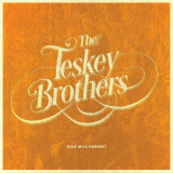 Half Mile Harvest | The Teskey Brothers
