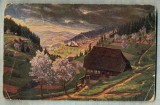 AD 338 C. P. VECHE - IM SCHWARZWALD -GERMANIA - CIRCULATA CATRE VIDA MOZES -CLUJ