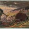 AD 338 C. P. VECHE - IM SCHWARZWALD -GERMANIA - CIRCULATA CATRE VIDA MOZES -CLUJ