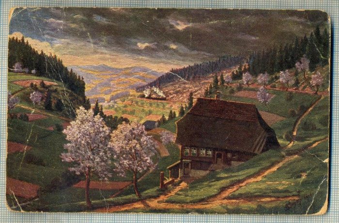 AD 338 C. P. VECHE - IM SCHWARZWALD -GERMANIA - CIRCULATA CATRE VIDA MOZES -CLUJ