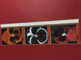 AJMAN, FLORI - SERIE COMPLETĂ MNH, Nestampilat