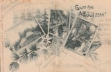 1904 Cabane - SKV Negoi, ilustrata litografie cu stampila rara de cabana Negoiu
