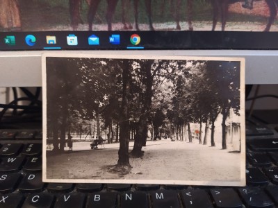 V&amp;acirc;lcele, Elopatak, Bulevardul, circa 1941, 205 foto