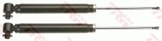 TRW JGT1058T TRW TWIN amortizor foto