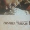 Onoarea tribului - Rachid Mimouni