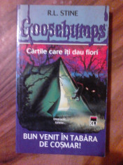 Bun venit in tabara de cosmar - R.L. Stine (expediere si 6 lei/gratuit) (4+1) foto