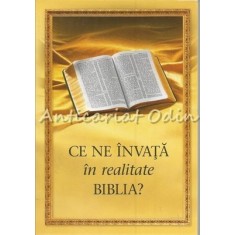 Ce Ne Invata In Realitate Biblia?